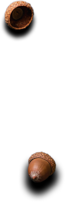 Karel - Tadı Damakta